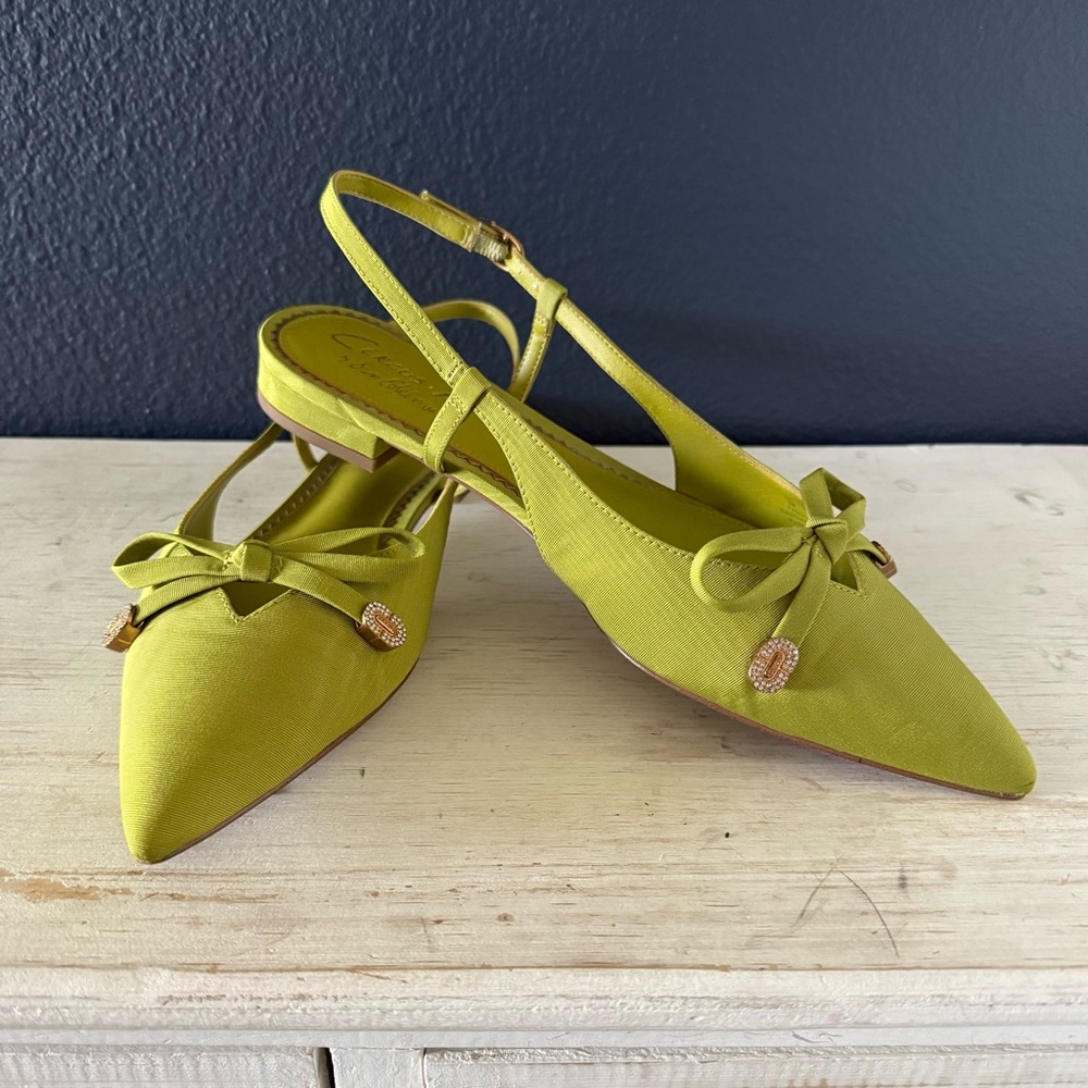 Circus by Sam Edelman Green Pointed-Toe Flats Size 9